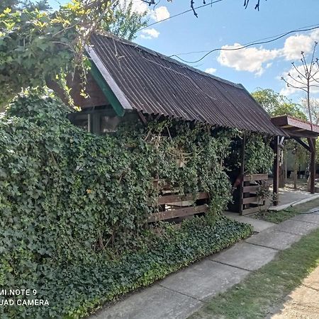 Olga Vendeghaz Appartement Abádszalók Buitenkant foto