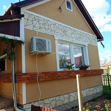 Olga Vendeghaz Appartement Abádszalók Buitenkant foto