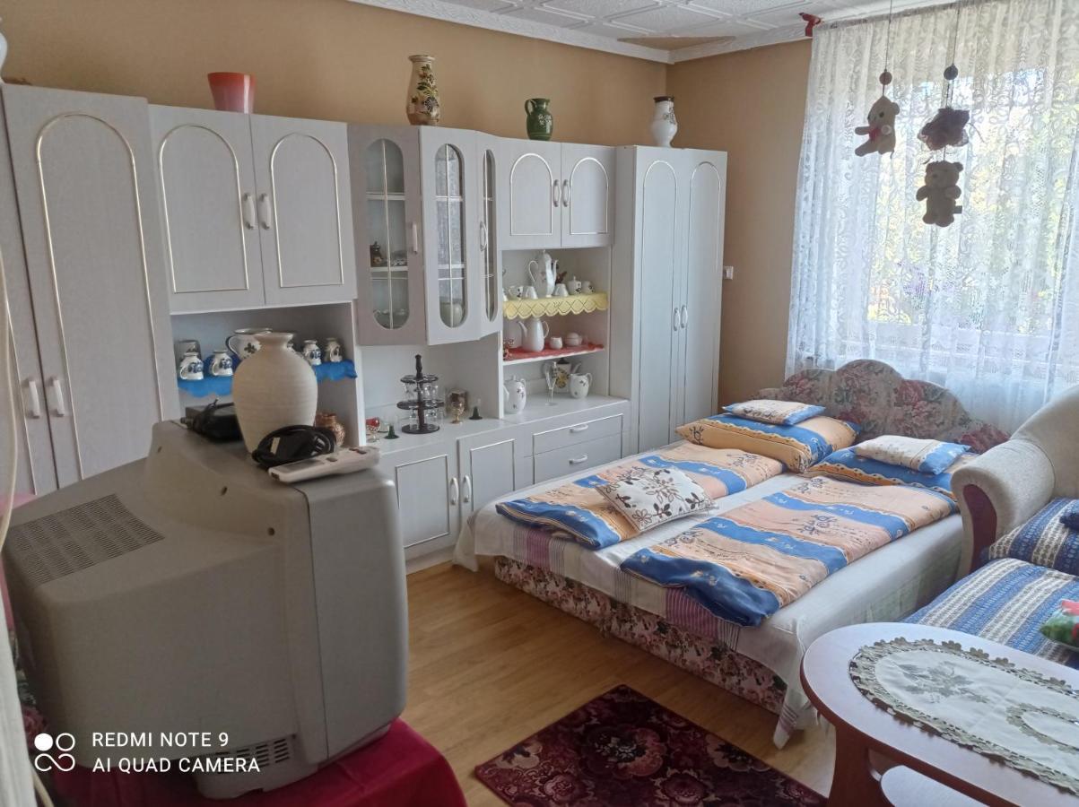 Olga Vendeghaz Appartement Abádszalók Buitenkant foto